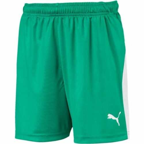 Puma LIGA SHORTS JR zelená 140 - Chlapecké sportovní trenky Puma