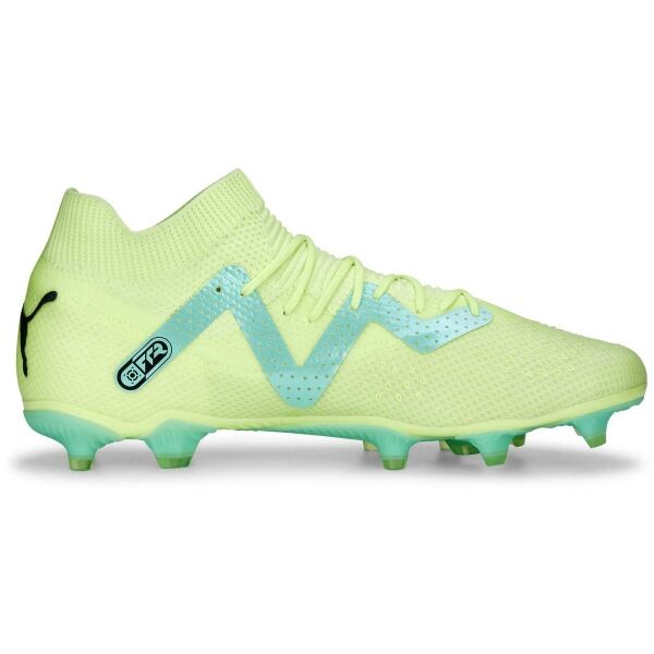 Puma FUTURE PRO FG/AG Pánské kopačky