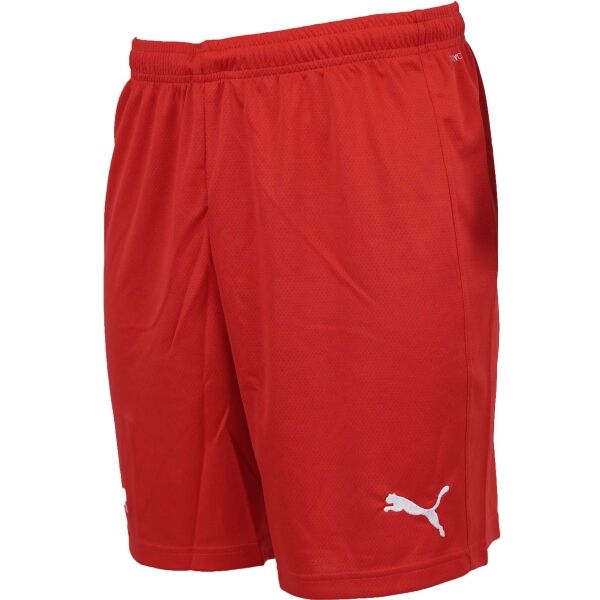 Puma HOME SHORTS MEN Pánské házenkářské kraťasy